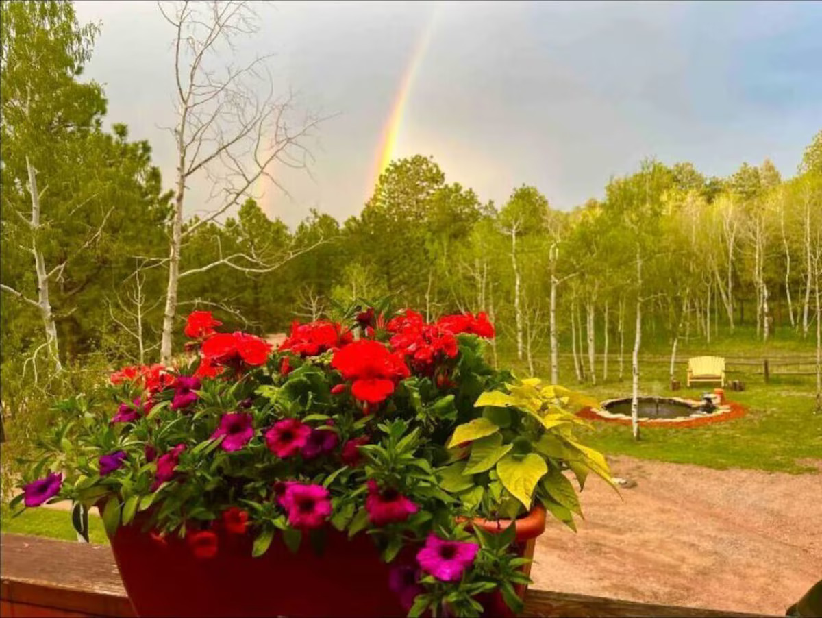 rainbow
